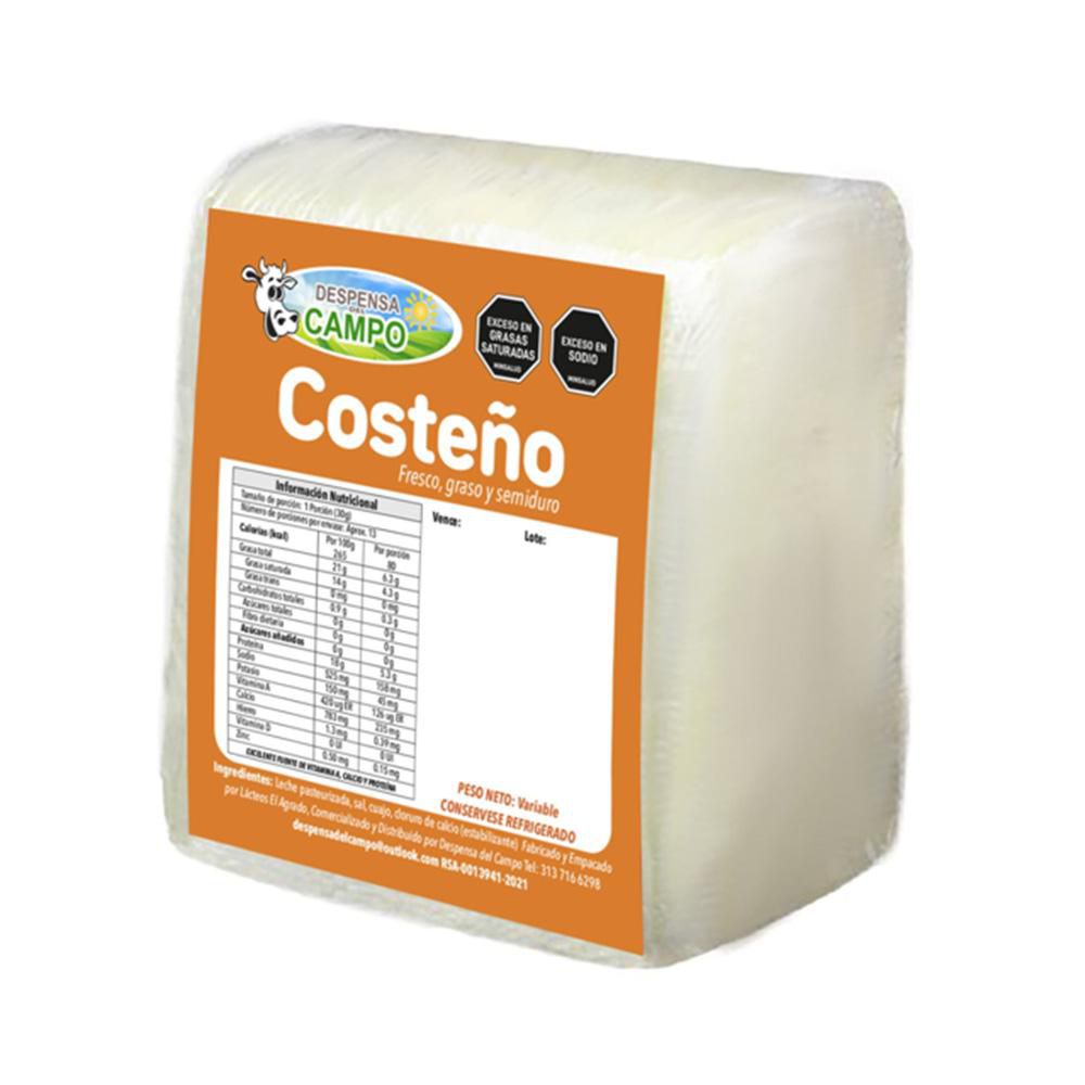 Queso costeño DESPENSA DEL CAMPO fresco img #1