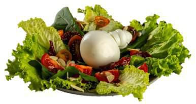 Queso mozzarella  bar (230  gr) img #1