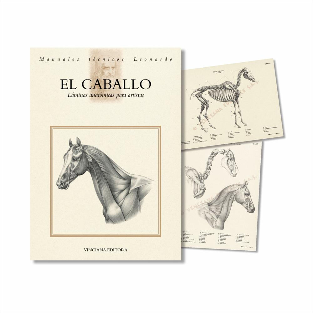 Colección El Caballo Láminas Anatómicas img #1