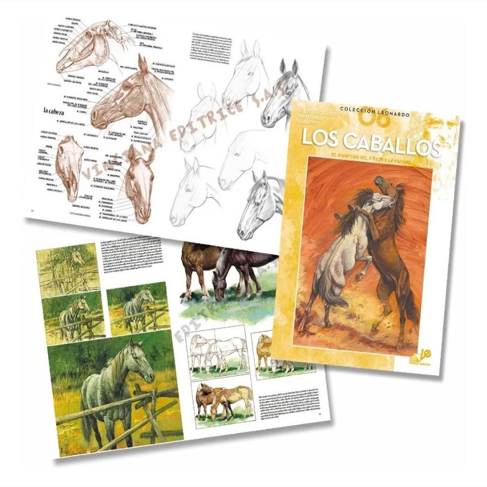 Colección Leonardo Los Caballos No. 6 img #2