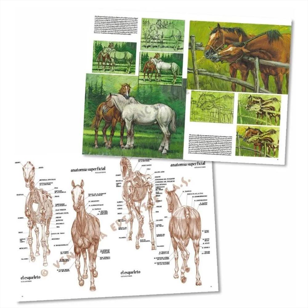 Colección Leonardo Los Caballos No. 6 img #3