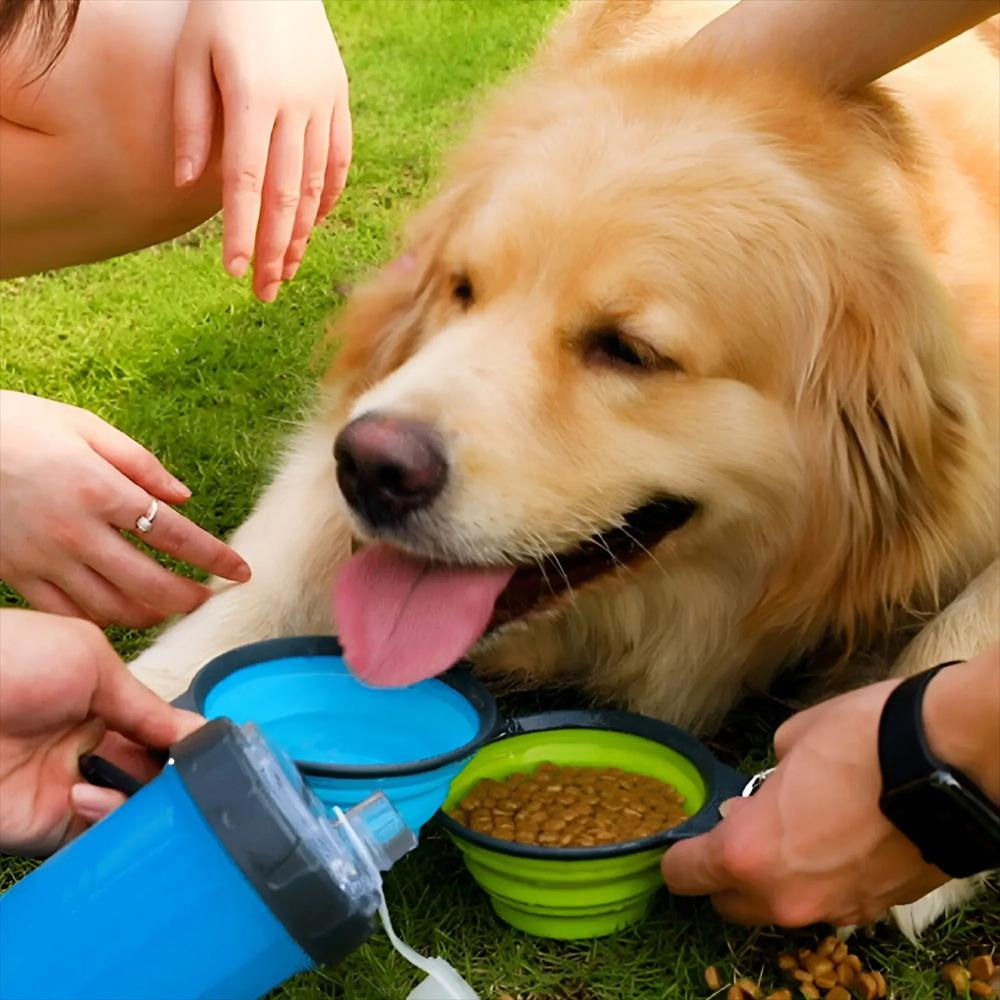 Termo Para Mascotas Doble Compartimento Agua Y Cuido + Plato Plegable img #3