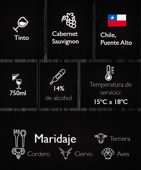 Vino tinto DON MELCHOR  Cabernet Sauvignon (750  ml) img #2