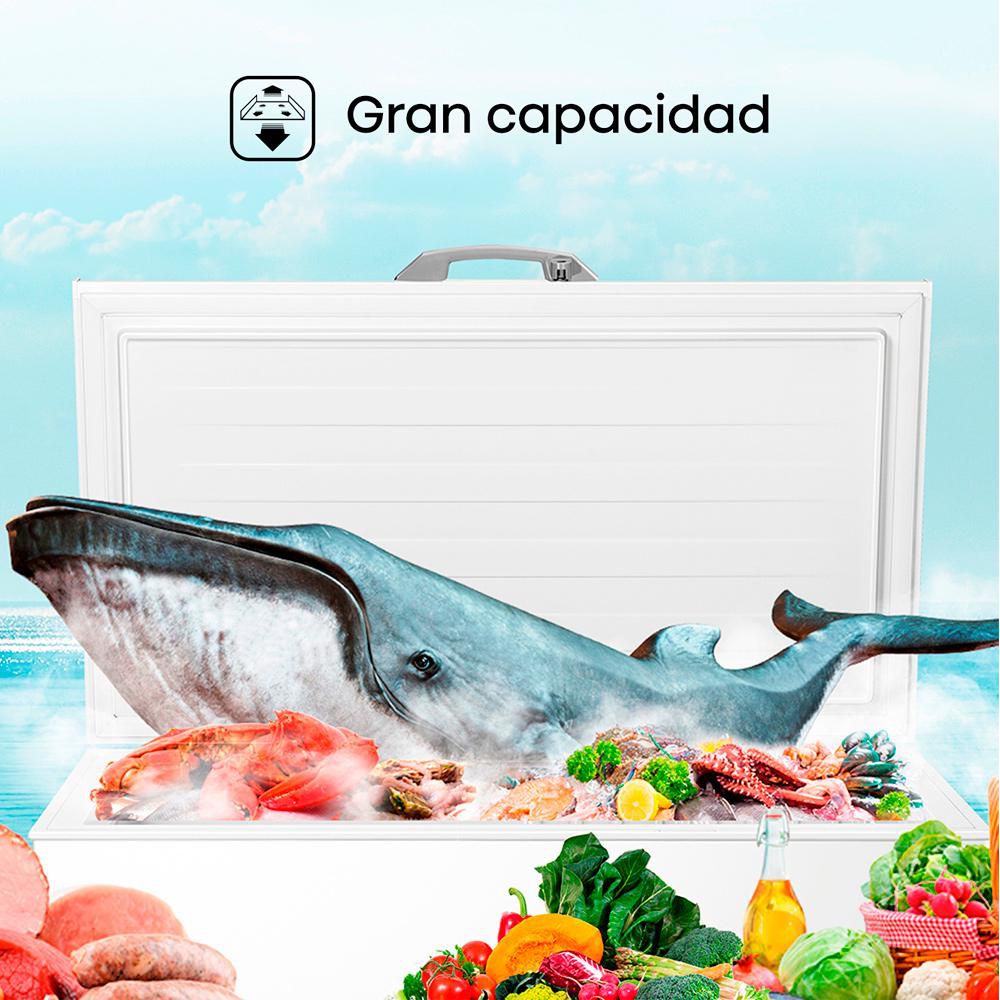 Congelador Horizontal 297L HISENSE BD297 img #5