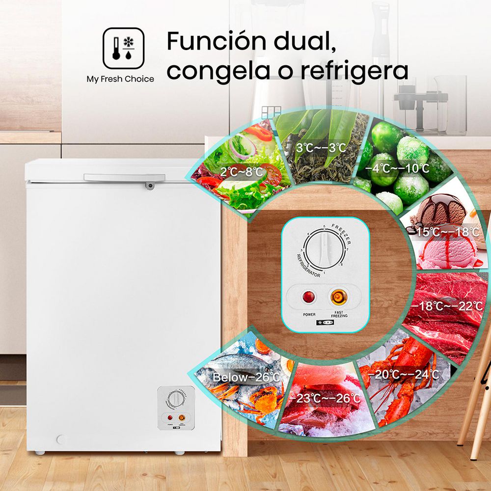 Congelador Horizontal 245L HISENSE BD249 img #6