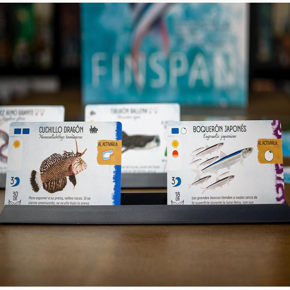 Juego De Mesa Finspan img #5