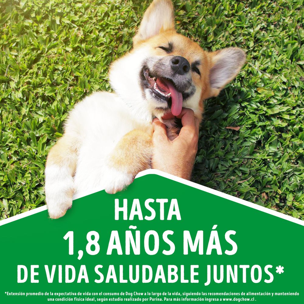 Alimento Perro PURINA DOG CHOW  (475  gr) img #5