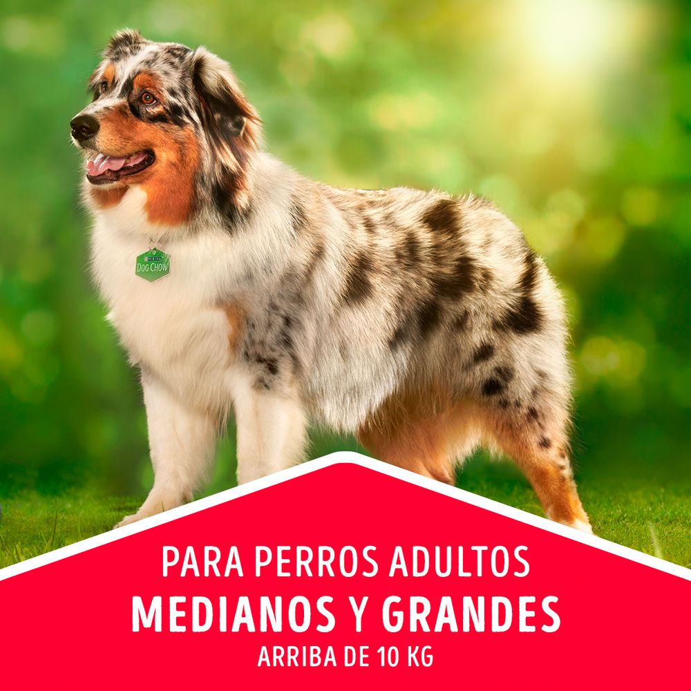 Alimento Perro PURINA DOG CHOW  (475  gr) img #6