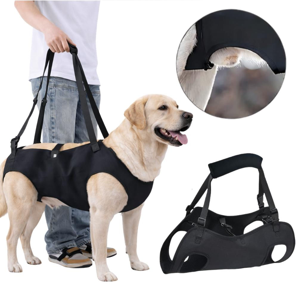 Arnés De Soporte Perro Para Transporte Movilidad img #1