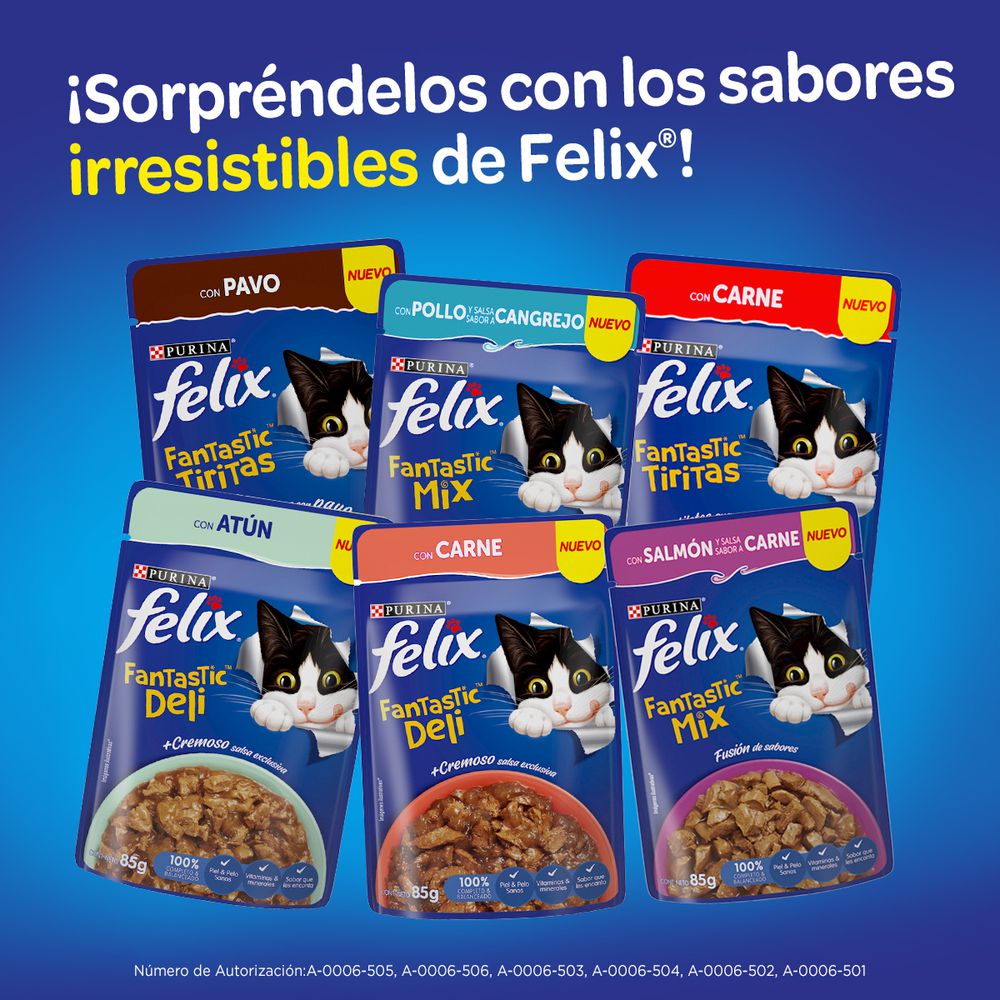Alimento FELIX GATO POLLO (85 gr) img #6