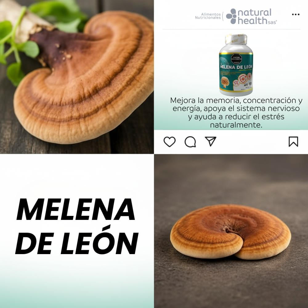 Melena De León X100 Función Cognitiva & Claridad Mental img #4