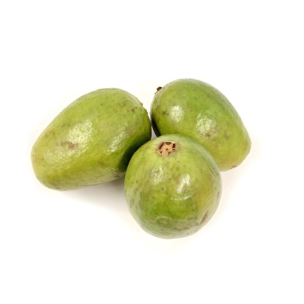 Guayaba Pera  1  und
