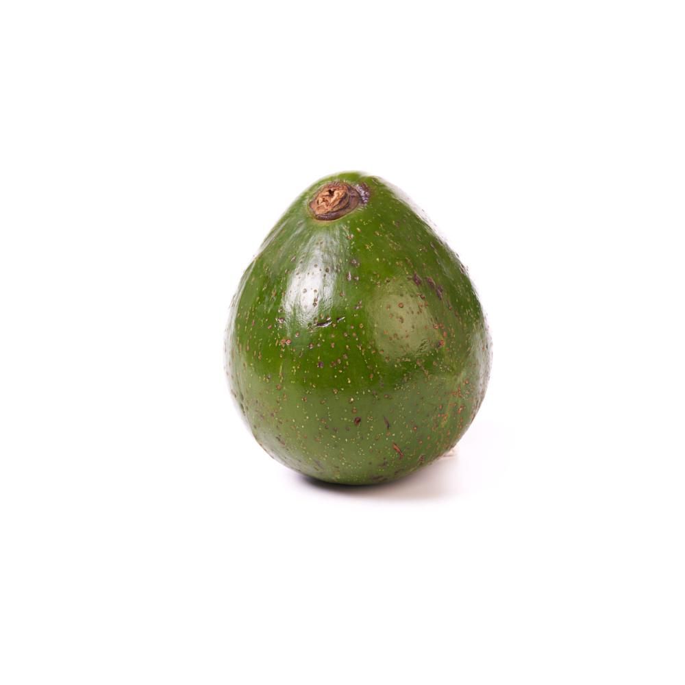 Aguacate Injerto  1  und