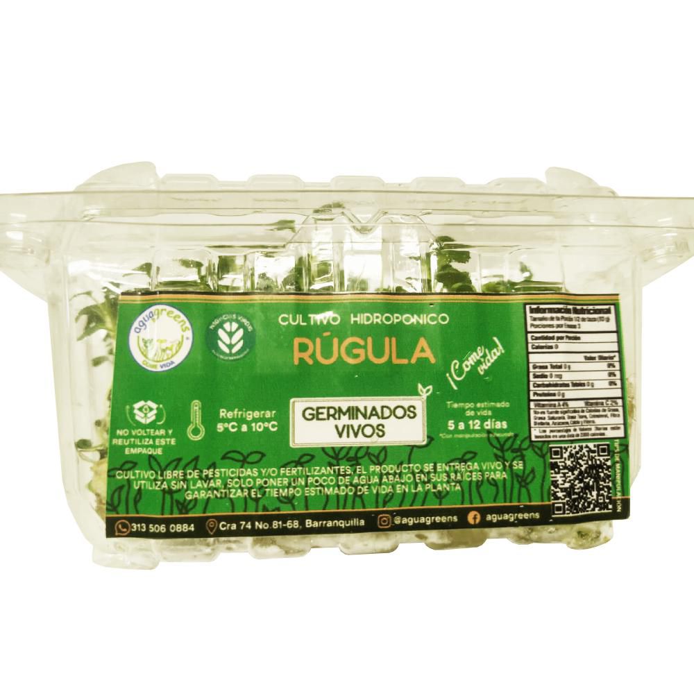 BROTES RUGULA  30  gr