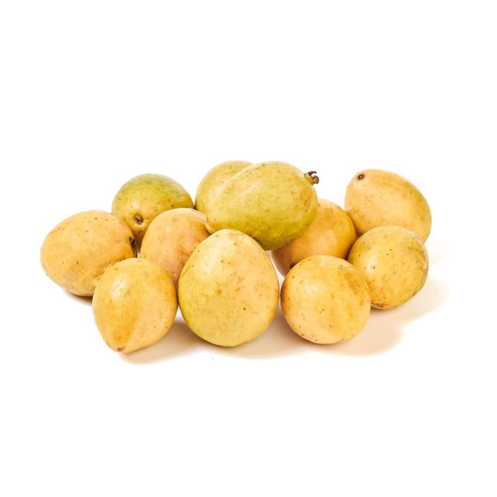 GUAYABA COMUN