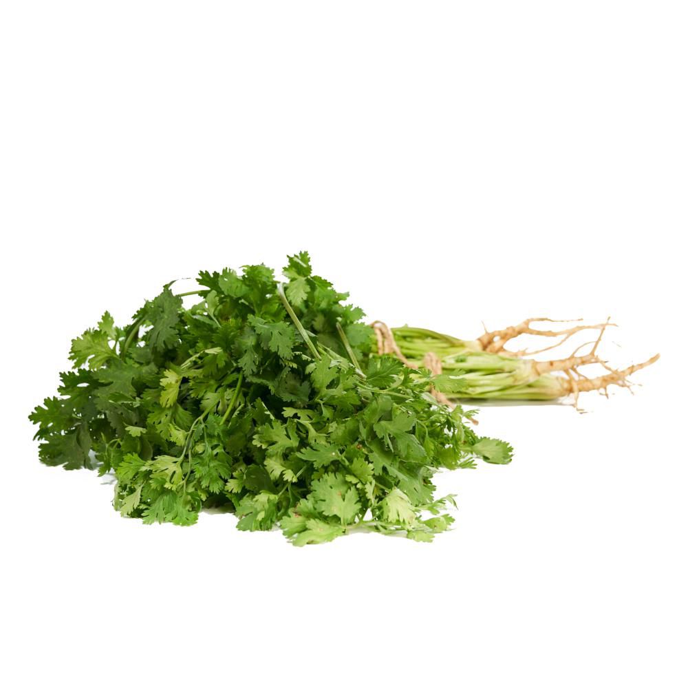 Cilantro Hidroponico  75  gr