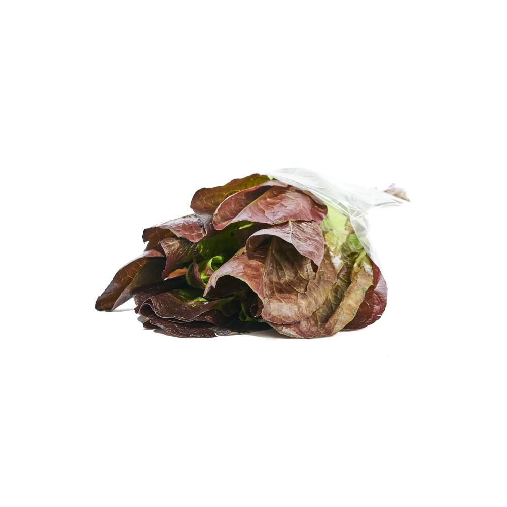 LECHUGA ROMANA MORADA  90  gr