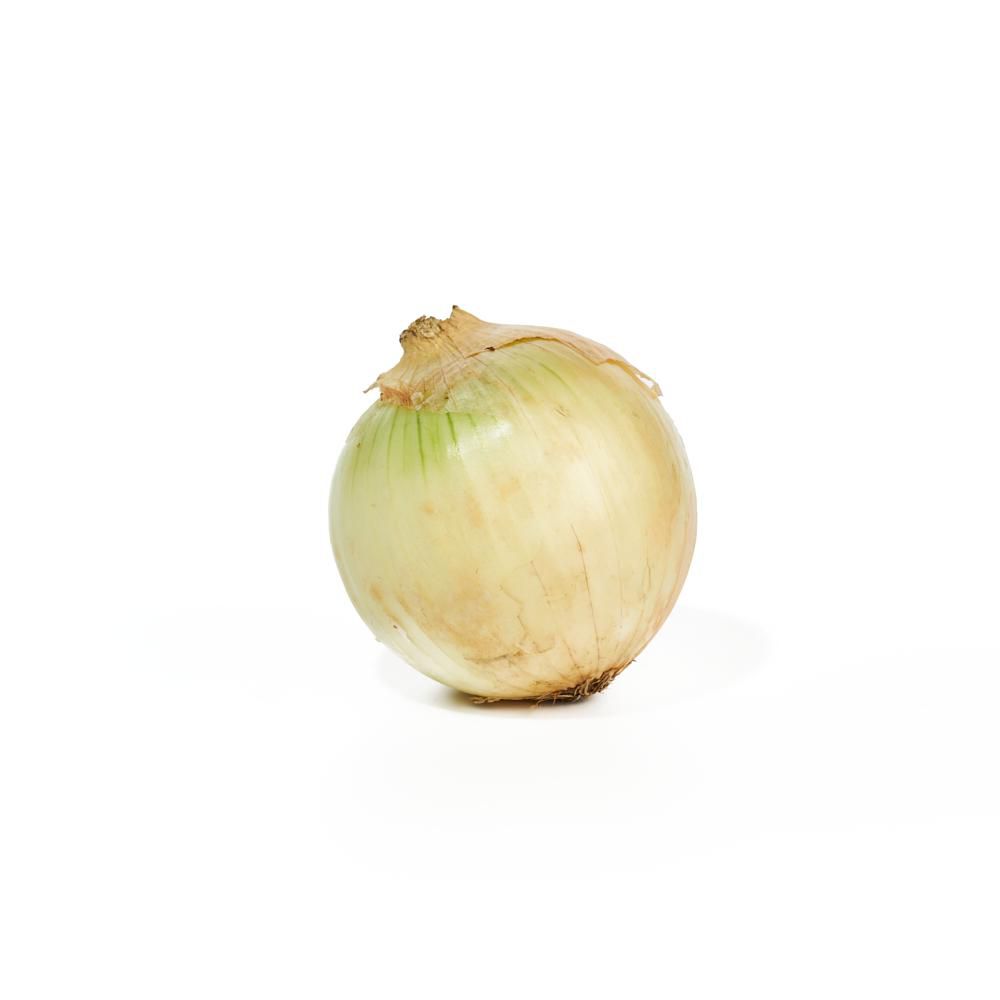 CEBOLLA BLANCA KOSHER  1000  gr