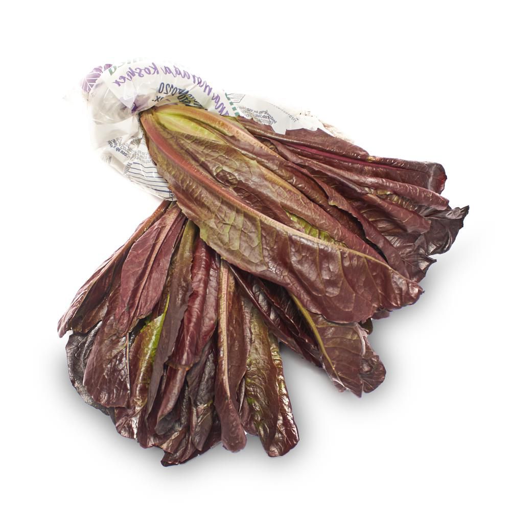LECHUGA HIDROP ROMANA MORADA  1  und