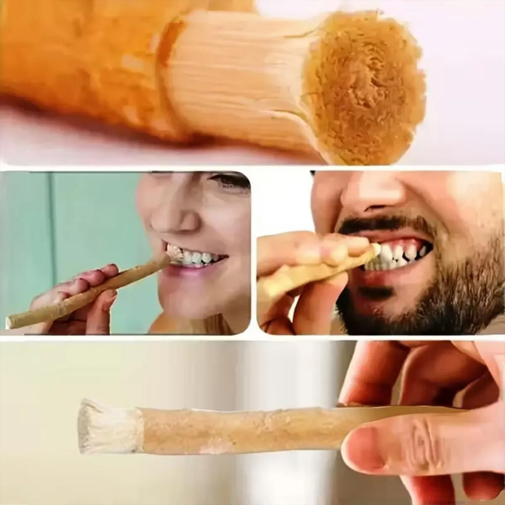 Miswaak Cepillo Dental Natural Biodegradable img #2