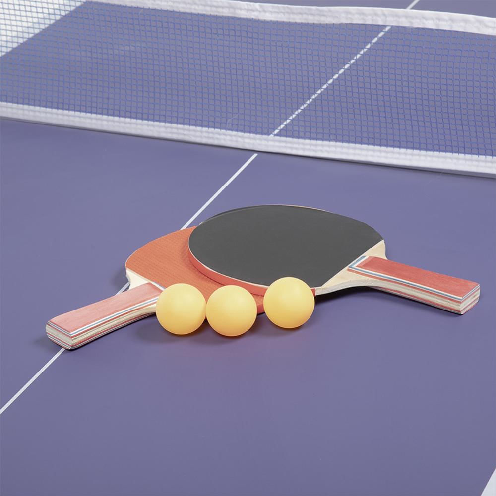 Mesa De Ping Pong A1 Mini img #3