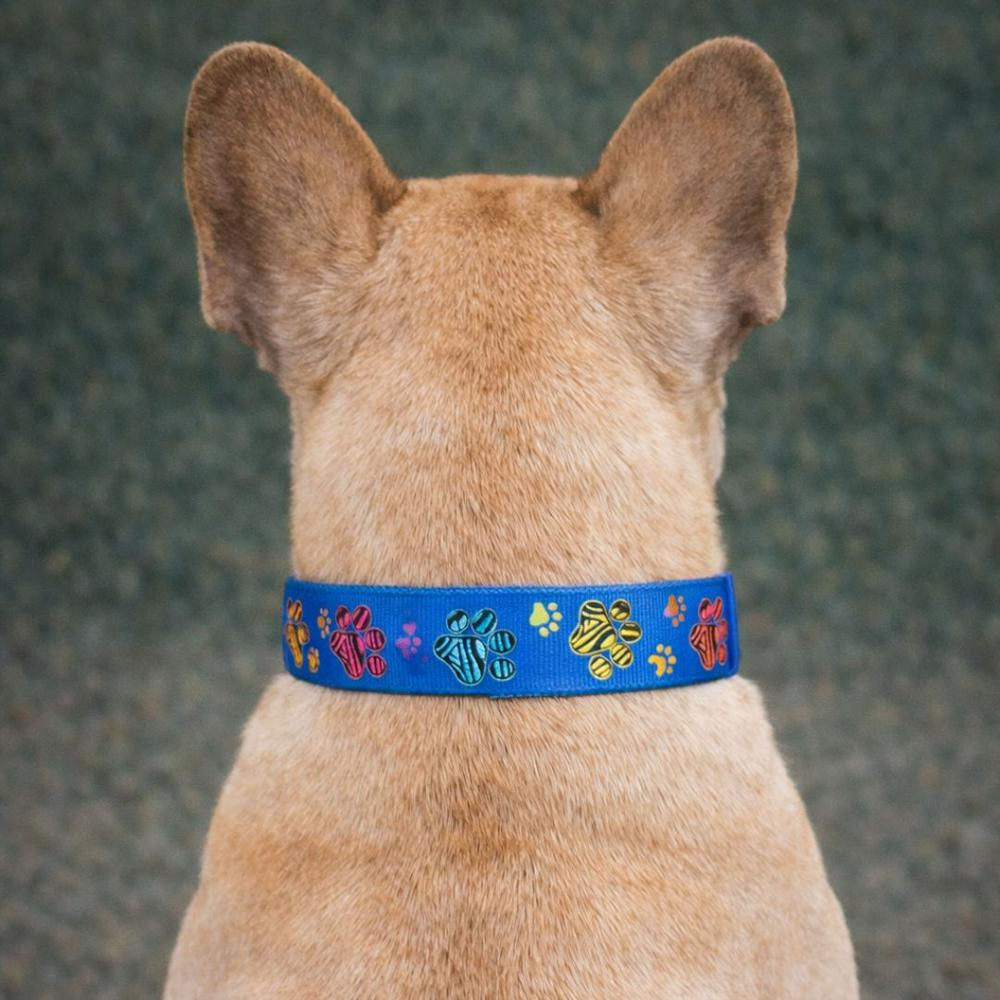 Collar Para Perro Estilo Huellitas Azul, Diseño Único Talla S img #4
