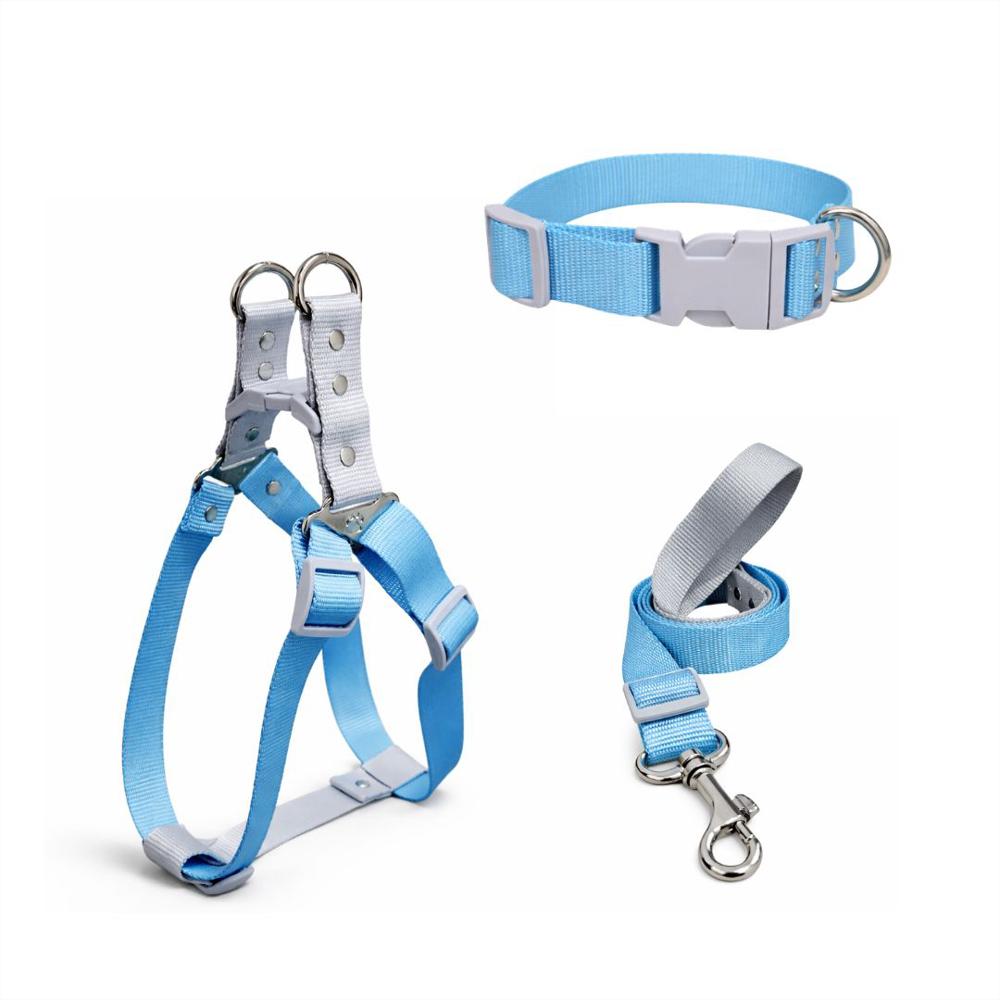 Combo Arnés, Collar Y Correa Para Perro Estilo Bicolor Azul Gris Cálido Talla S img #1