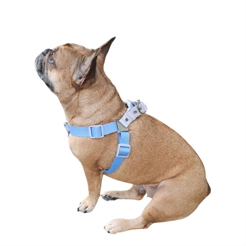 Combo Arnés, Collar Y Correa Para Perro Estilo Bicolor Azul Gris Cálido Talla S img #4
