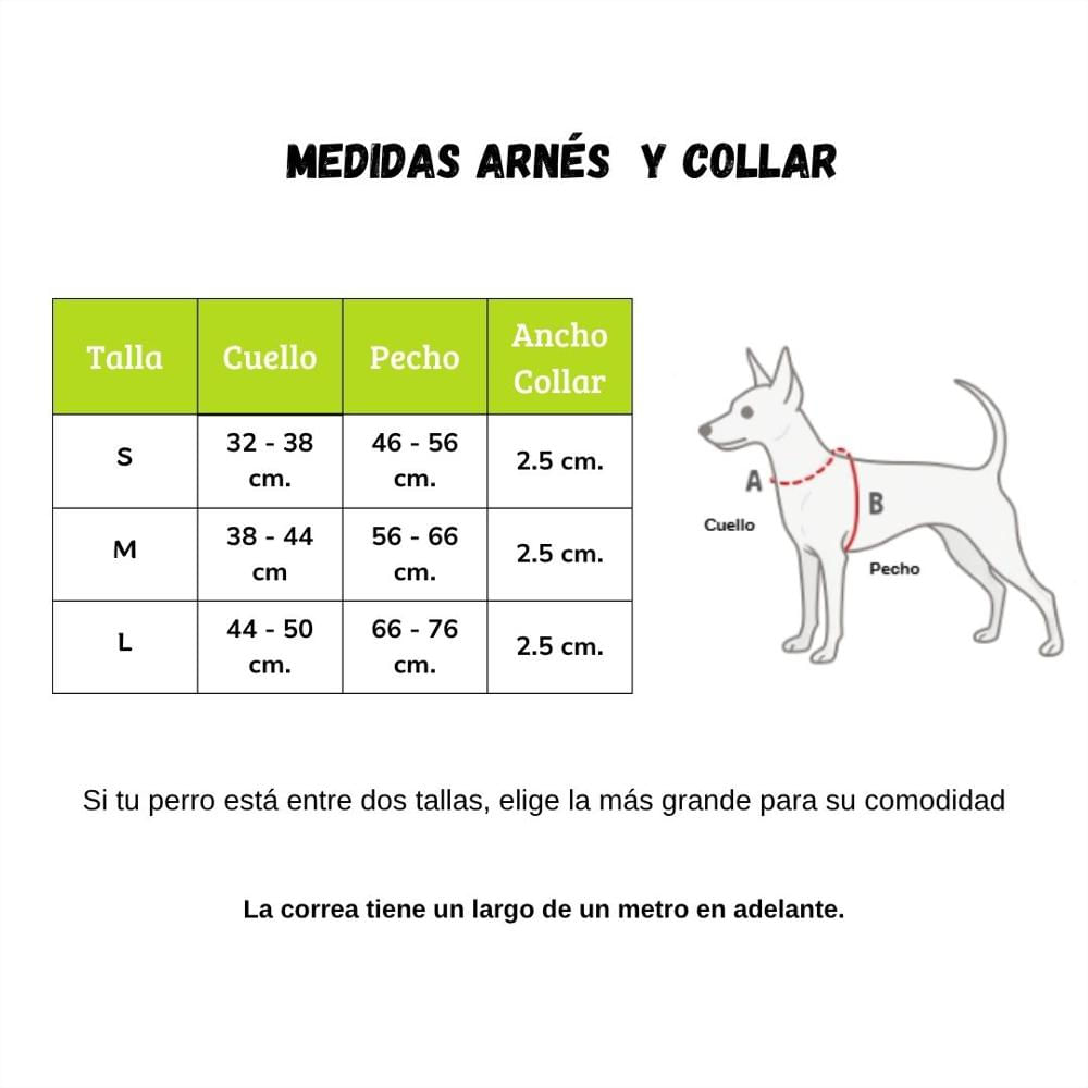 Combo Arnés, Collar Y Correa Para Perro Estilo Bicolor Azul Gris Cálido Talla S img #5