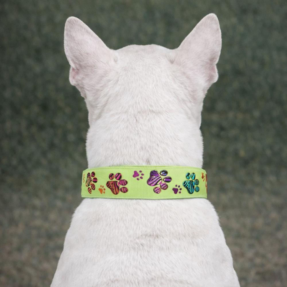 Collar Para Perro Estilo Huellitas Verde, Diseño Único Talla S img #4