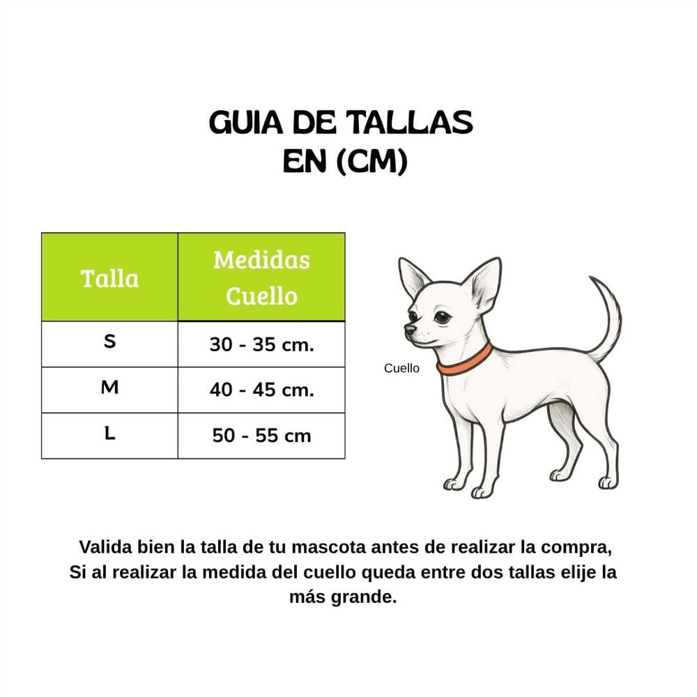Collar Para Perro Estilo Huellitas Verde, Diseño Único Talla M img #5
