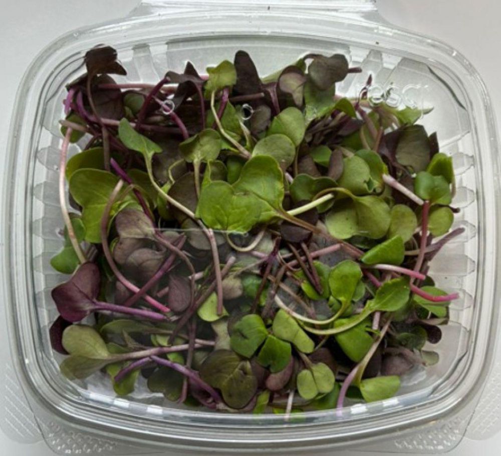 Mix brotes de rábano  30  gr