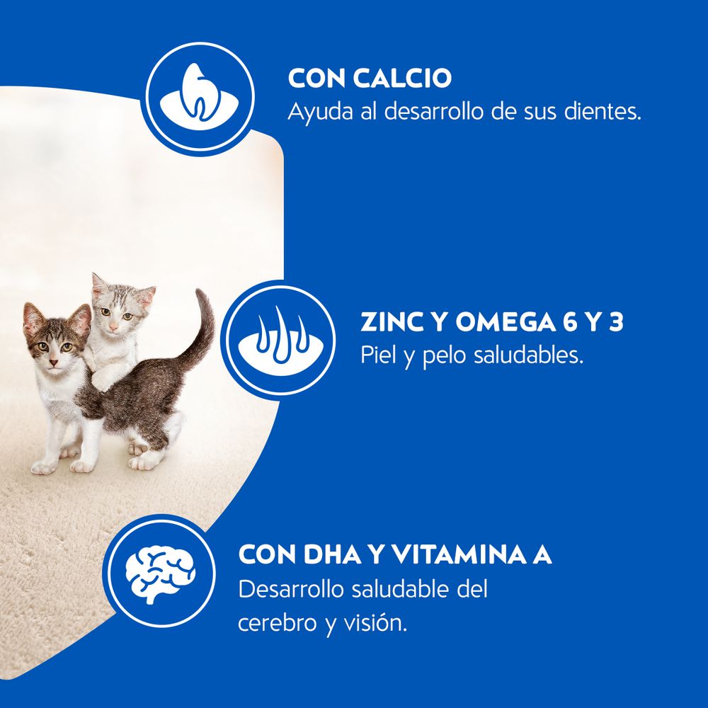 Comida para gatos PURINA CAT CHOW sabor salmón, atún y pescado blanco (500  gr) img #6