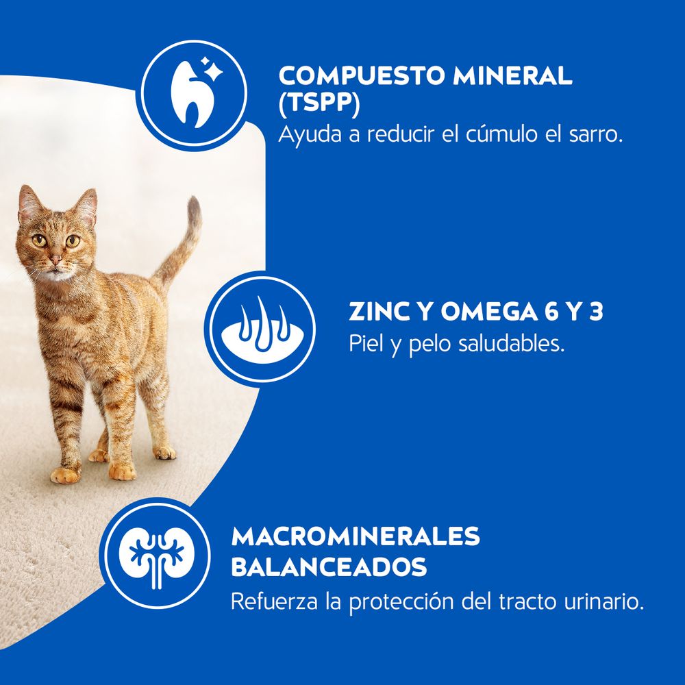 Comida para gatos PURINA CAT CHOW adulto carne (500  gr) img #6