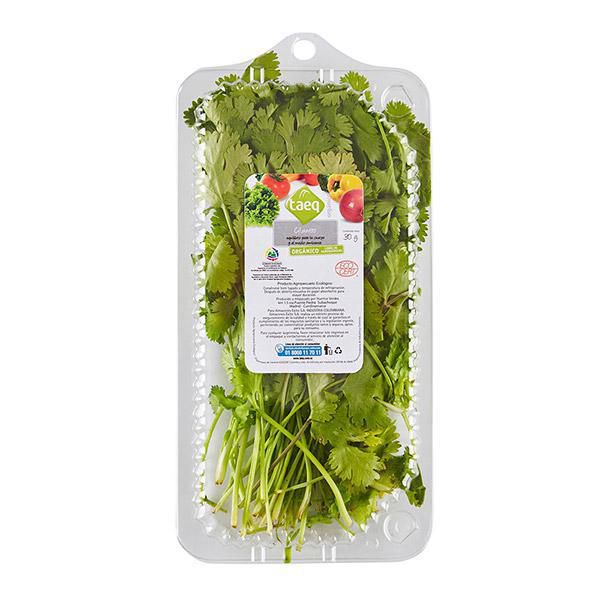 CILANTRO TAEQ 50  gr