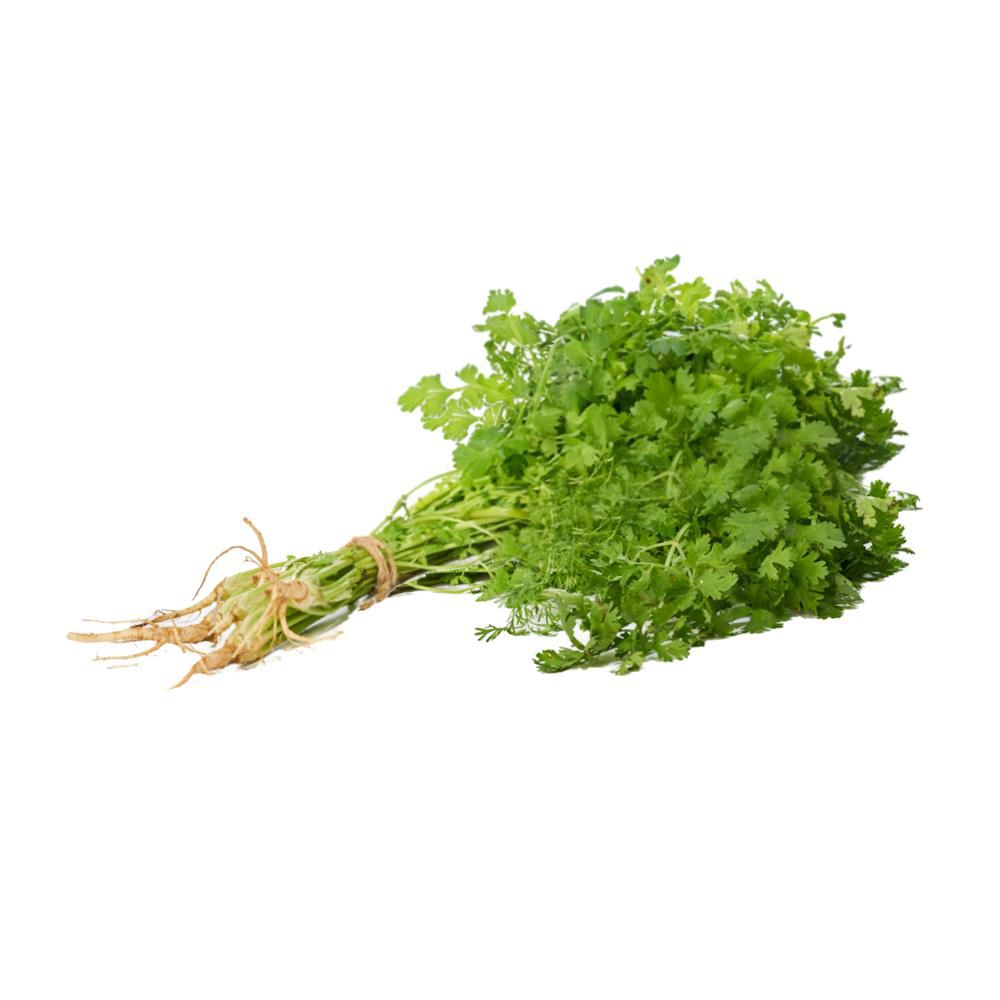 Cilantro Fresco Capuchon  50  gr