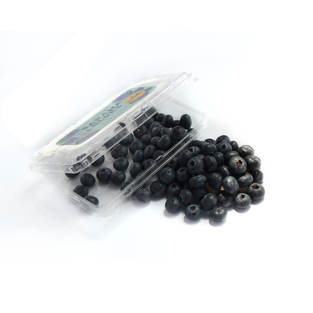 Arandanos Eureka Premium  250  gr img #2