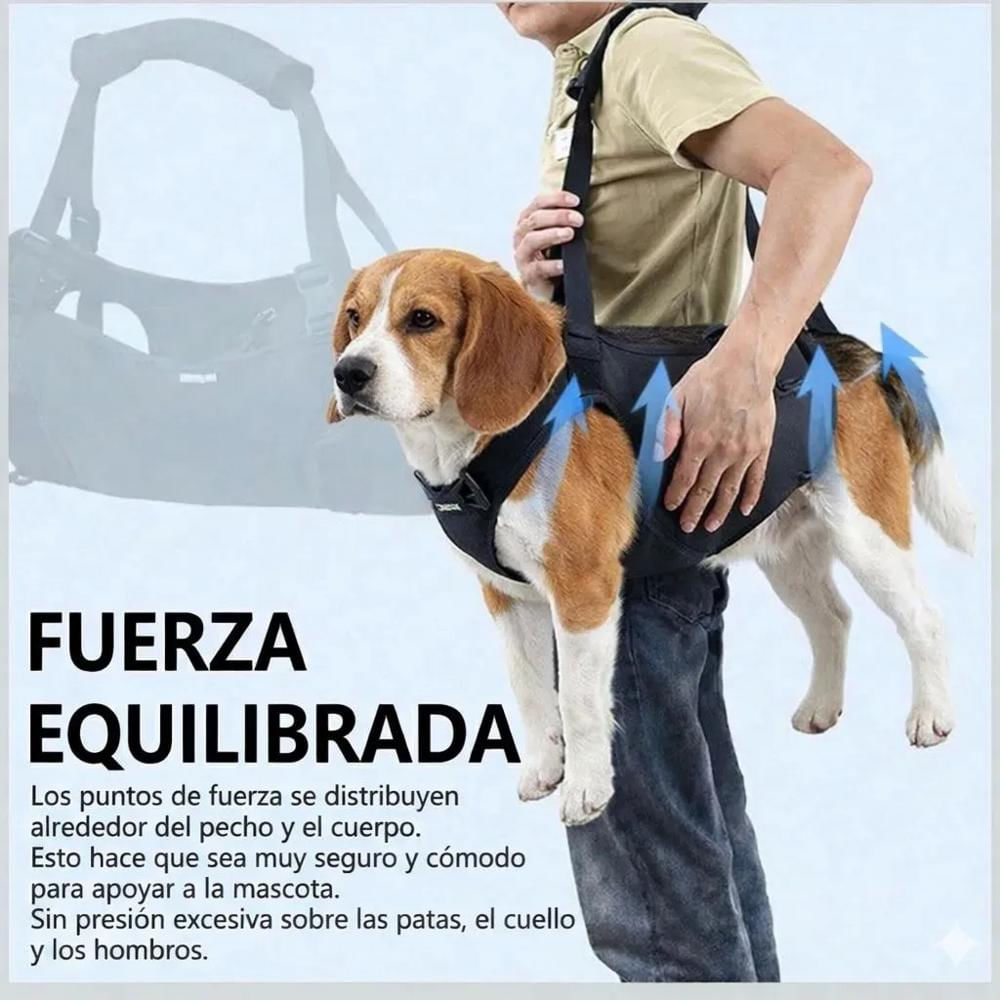 Arnes Ortopedico Perros Pequeños M Apoyo Levantar Caminar img #3