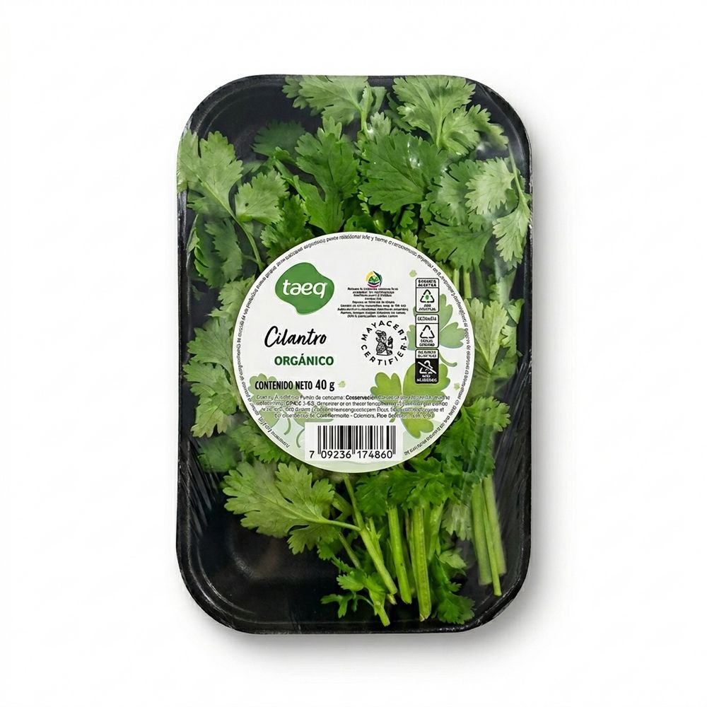 CILANTRO  40  gr img #1