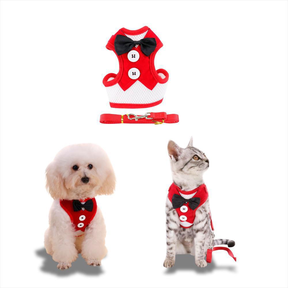 Arnés Ajustable Para Perro Y Gato Con Correa Talla S Pequeña img #1