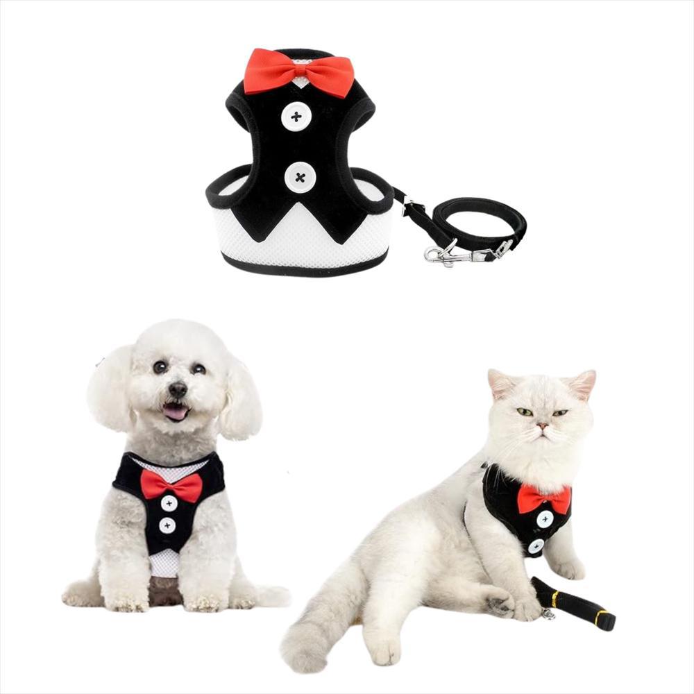 Arnés Ajustable Para Perro Y Gato Con Correa Negra Talla S Pequeña img #1