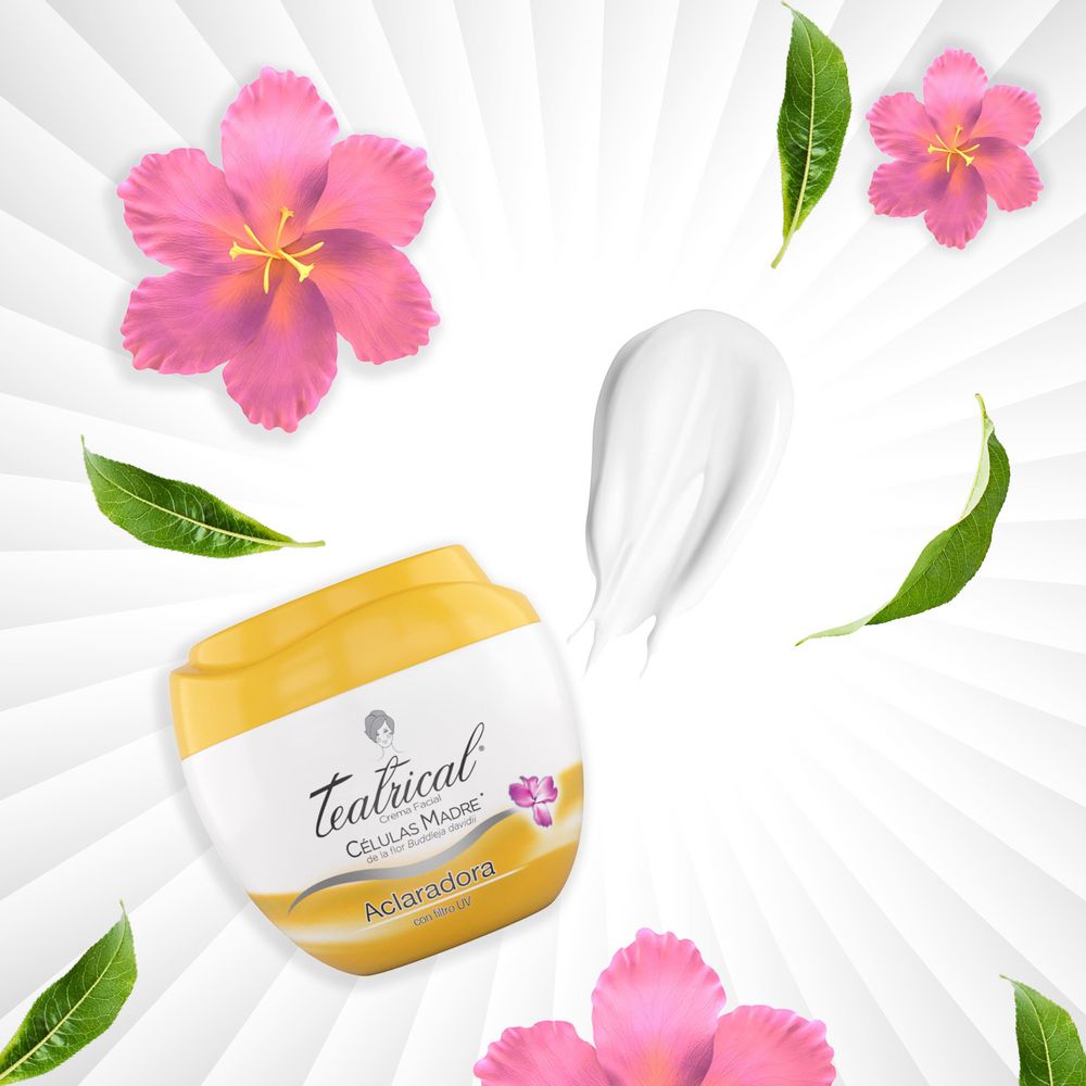Crema facial TEATRICAL aclaradora (100  gr) img #6