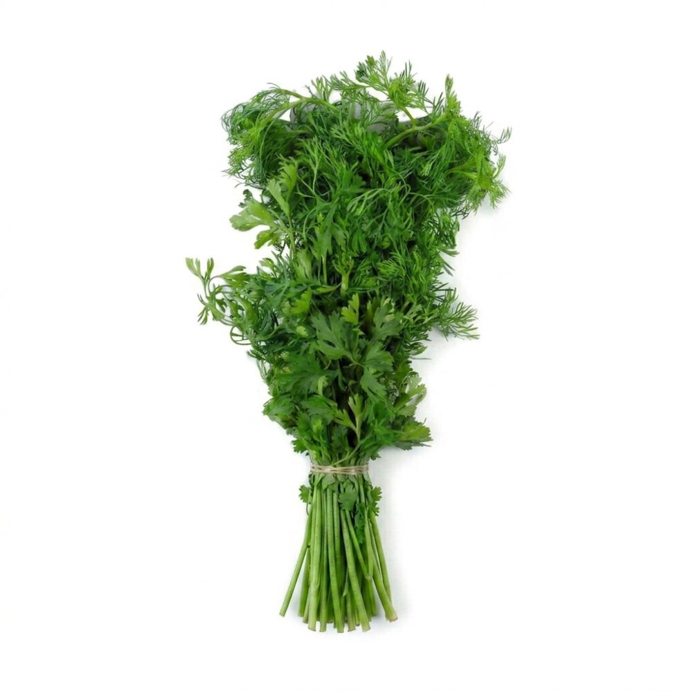 CILANTRO ORGANICO  150  gr