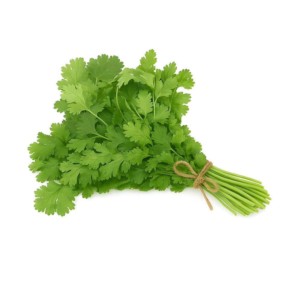 CILANTRO PAQUETE UNIDAD  150  gr