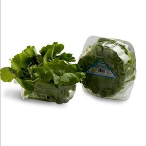 LECHUGA VERDE LISA PET 130 gr