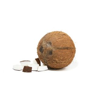 Coco 1 und