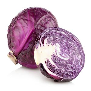 REPOLLO MORADO E UNIDAD 1 und