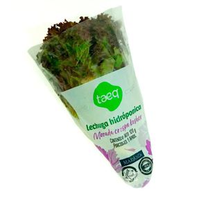 Lechuga morada kosher TAEQ 120 gr