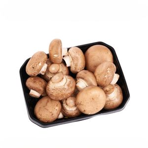 CHAMPINON TAJADO 500 gr