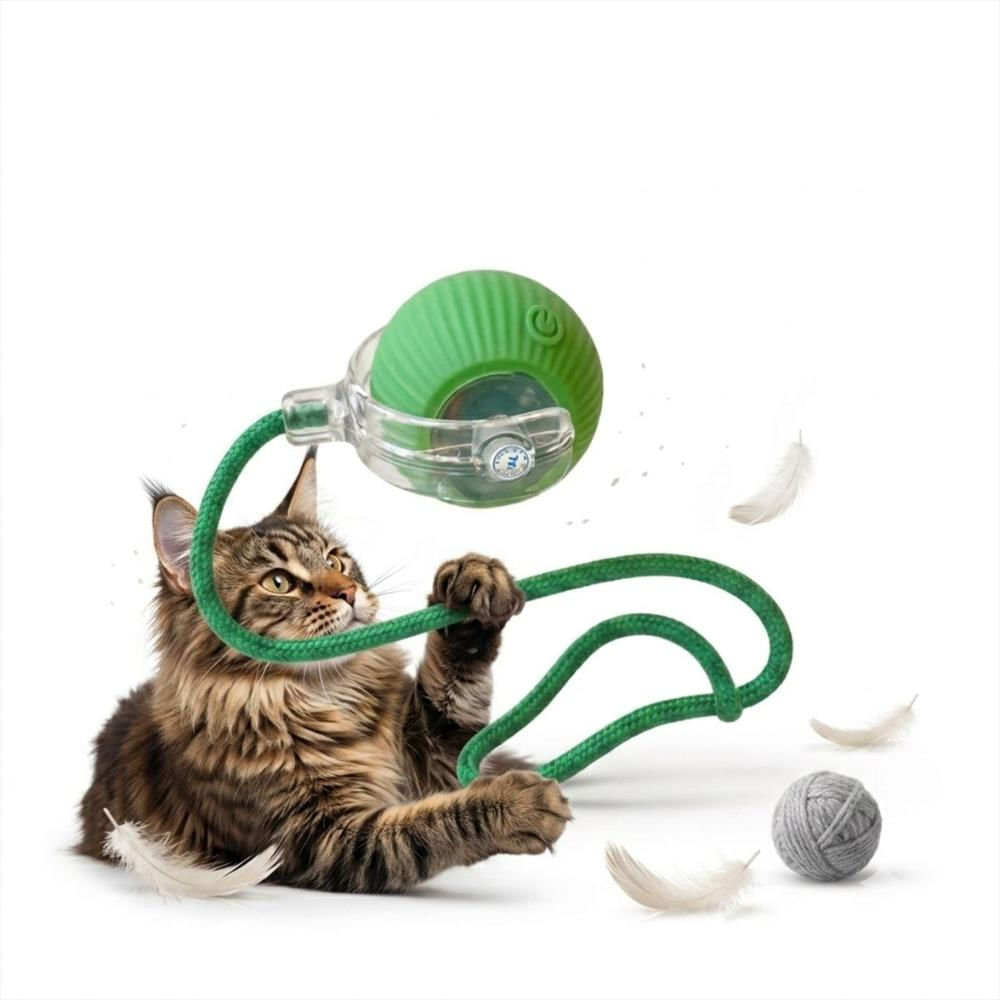 Pelota Gato Interactiva Automatica Recargable Loca Luces